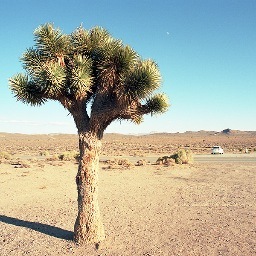 C5field's profile picture. 