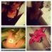 cuddlycusin (@imeraja_fields) Twitter profile photo