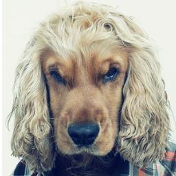 lslab's profile picture. 