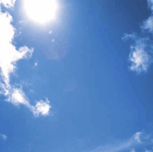 Naoki_Itoh_2121's profile picture. 89-90年代。株。