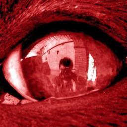 miiketemm's profile picture. AudioVisual  Cinestesia.