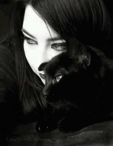 JadeShadow224's profile picture. 