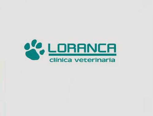 Tu mascota en las mejores manos con Clínica #Veterinaria Loranca. La salud animal siempre es lo más importante. #Madrid #animales #Fuenlabrada