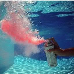 ValeryLitvizky's profile picture. you bitches love me