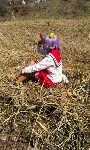시쿠/쿠미코さんのプロフィール画像