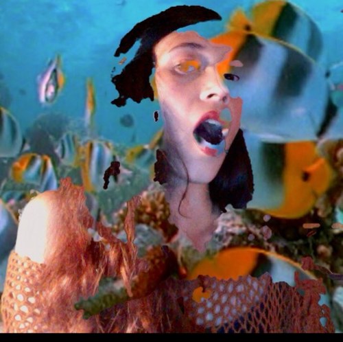 pudchini's profile picture. Not followed by anyone you’re following