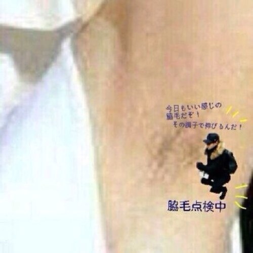 mami_tp's profile picture. いままでありがとうね！