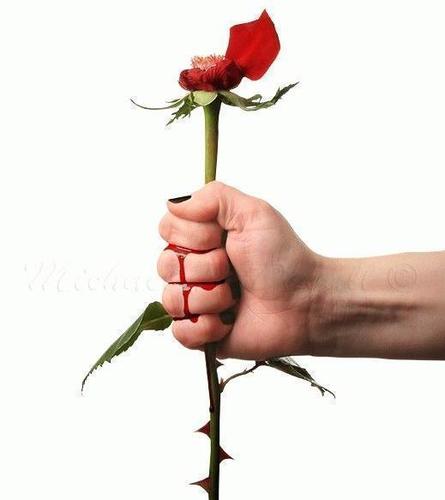 Ho un carattere difficile e mi piace dire sempre quello che mi passa per la testa, anche quando è meglio tenere la bocca chiusa!