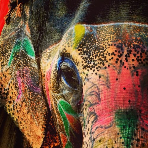 esemiarqui's profile picture. 