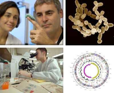 WarwickMicrobio's profile picture. Microbiology and Infection, Warwick Medical School