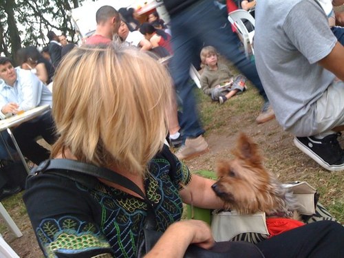 HOwheels's profile picture. a life long interest in politics, history, current affairs and the future