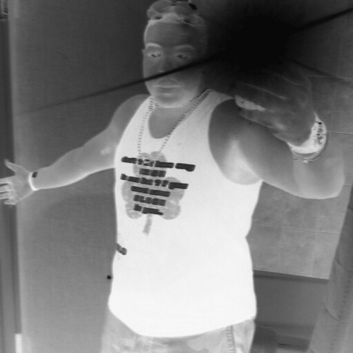 WhoIsTimmy's profile picture. They wanna know... so they ask...