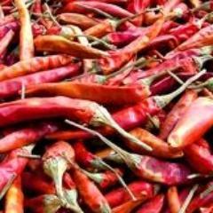 RecipesSpicy's profile picture. Spicy recipes