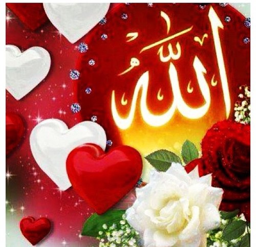 توكل ولن تُخذل☝🏼️( أليس الله بكافٍ عبده )