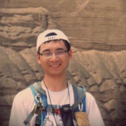 Programmer, traveller