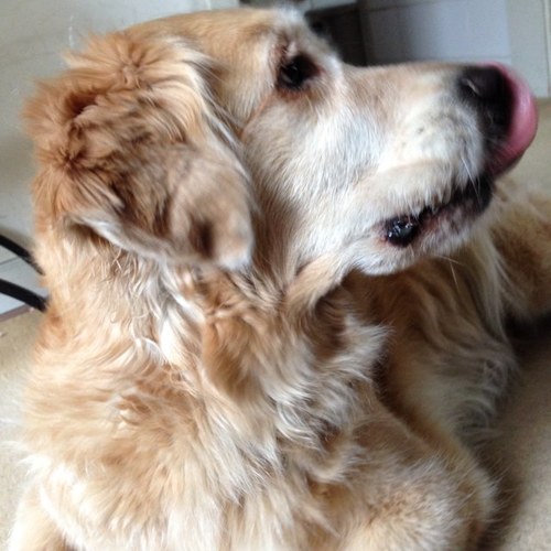 tbpp_s2's profile picture. 