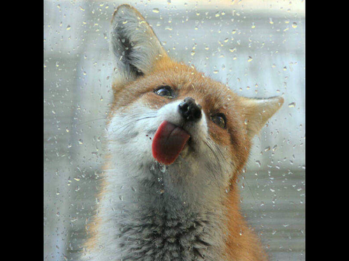 queenofbarney's profile picture. 