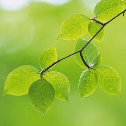 Adityak06266936's profile picture. Do what you love and do it often..