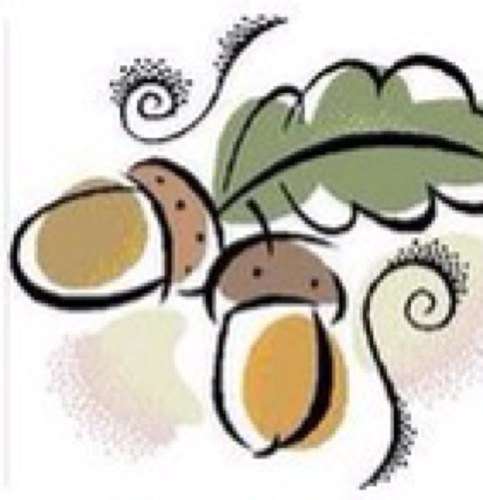 The Friends of Gillfield Wood aim to conserve and learn more about our local ancient wood. Facebook: https://t.co/vFuLZpwuqW