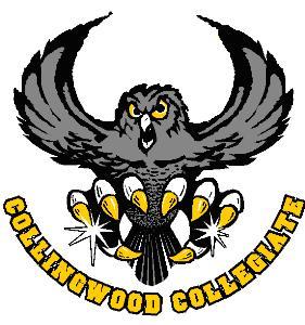 CCI Soccer INFORMATION