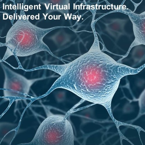 CISSP & VCP. My tweets & RTs are my own.