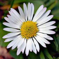 NatureCommunity (@naturecomm) 's Twitter Profile