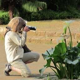 tara_taft's profile picture. Writer of travel blog and author of the travel memoir, The Tucker - Tyler Adventure; traveler, photographer, gluten-free cook, outdoor enthusiast, and mom!