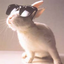 Bethany Bain - @Kiranorame - Twitter