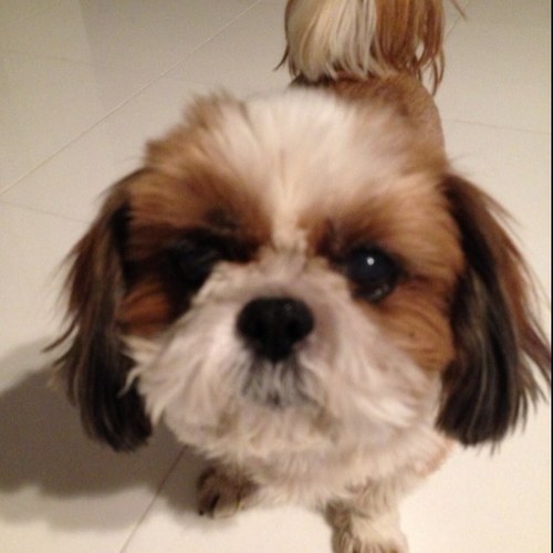 m_mashamimn's profile picture. 跡見学園中高/日本女子大/緑翠会