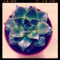 CuspideMag's profile picture. Il portale dedicato all’informazione su #arte, #teatro e spettacoli su #Roma