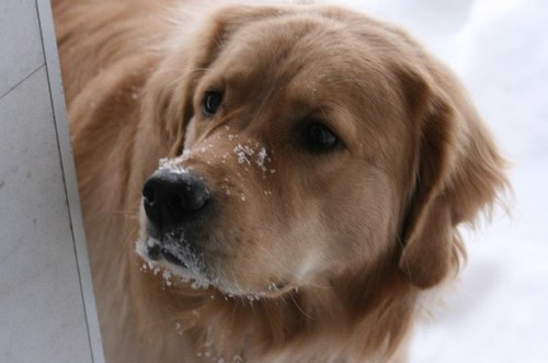 Goob25's profile picture. 