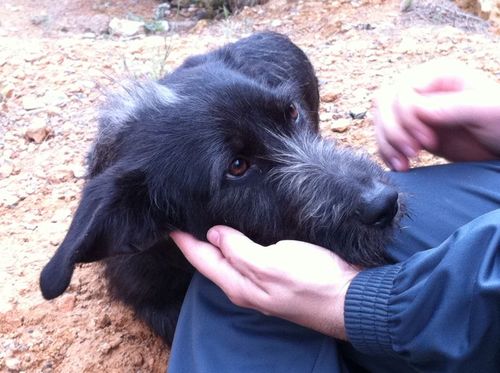 mabeljg's profile picture. 