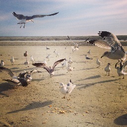 hepburn22's profile picture. 