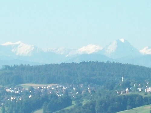 Schweizer Business Club Hier treffen sich Entscheider von KMU`s