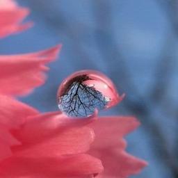 YahSpynet's profile picture. 