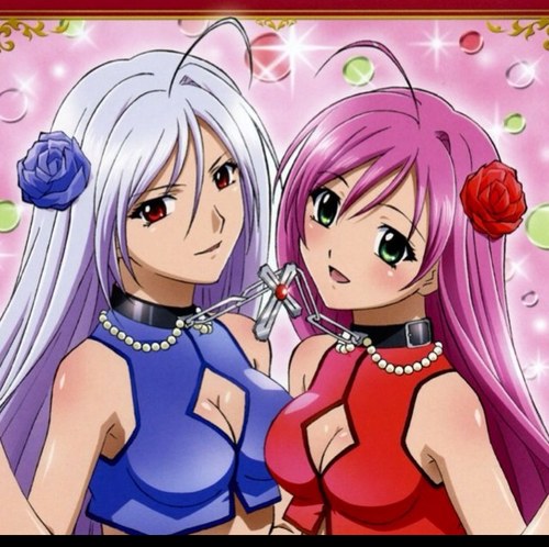 Hi! I'm Moka Ayashiya and I'm 17 years old! I am a student and this rosario keeps the inner vampire sealed so I don't hurt anyone! [Status- Single][+18 @Rp]