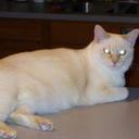 Cindy Stoner - @Cindyatwork2000 - Twitter