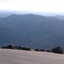 sharon gerhard - @sharongerhard1 - Twitter