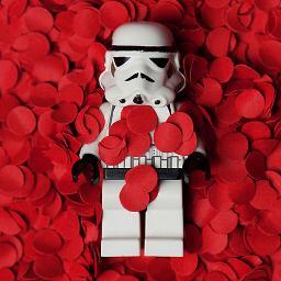 mickael_vang's profile picture. Product Designer / Front-end dev