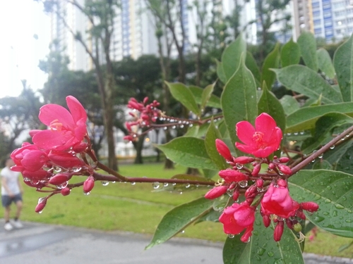 James_huinc's profile picture. 