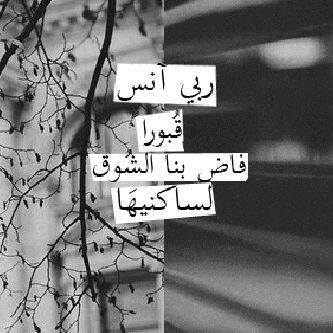 ‏حساب خاص للمغفور لها امينه عبدالحميد♡​