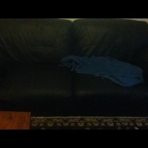 couch_specimen Profile Picture