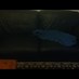 CouchSpecimen (@couch_specimen) Twitter profile photo