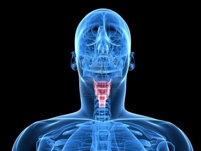 Facts, Hints, Tips and All Things Voice