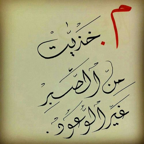 aiadmhmd's profile picture. 