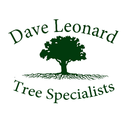 Lexington Kentucky Aborists providing tree care, tree trimming, tree removal and preservation as well as organic lawn care