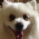 anna (@0228anxiah) Twitter