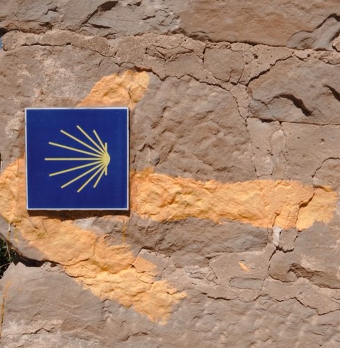 elCamino_krbot's profile picture. 