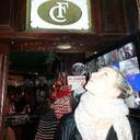 Cornelia Foley - @Cor_Foley - Twitter