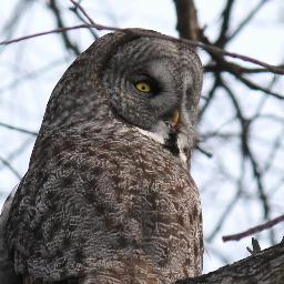 almariecollins's profile picture. 